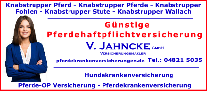 Knabstrupper